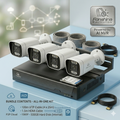Fanshine 10-Channel PoE Security Camera Kit (4-Camera System, 2MP / 5MP Options)